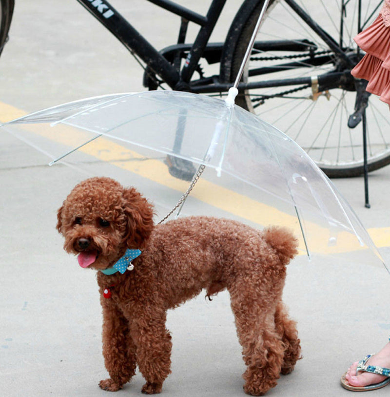 Premium Dog Umbrella Leash – Transparent Waterproof Pet Umbrella with Built-In Chain Leash for Small & Medium Dogs, Rain Protection Walking Cover